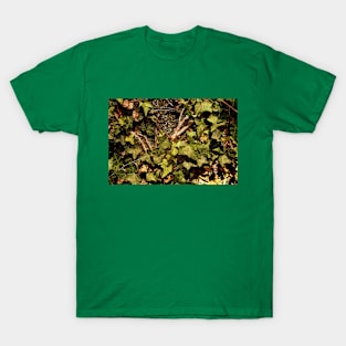 Ivy in the Sun after the Rain T-Shirt